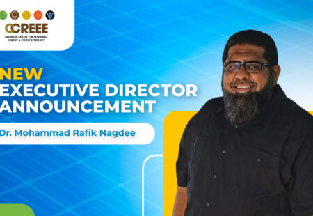 Dr. Mohammad Rafik Nagdee is Appointed as the New Executive Director of The CCREEE